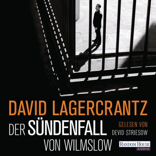 David Lagercrantz - Der Sündenfall von Wilmslow