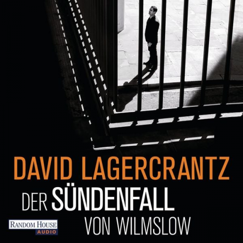 David Lagercrantz - Der Sündenfall von Wilmslow