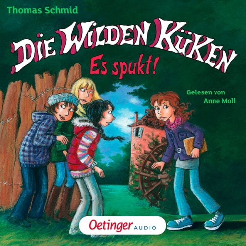 Thomas Schmid - Die Wilden Küken 4. Es spukt!