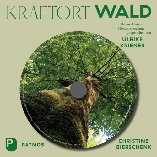 Christine Bierschenk - Kraftort Wald