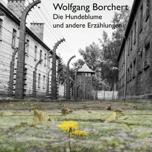 Wolfgang Borchert - Die Hundeblume