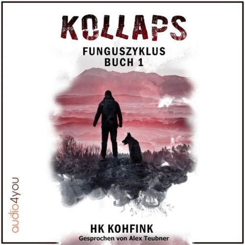 Heiko Kohfink - Kollaps