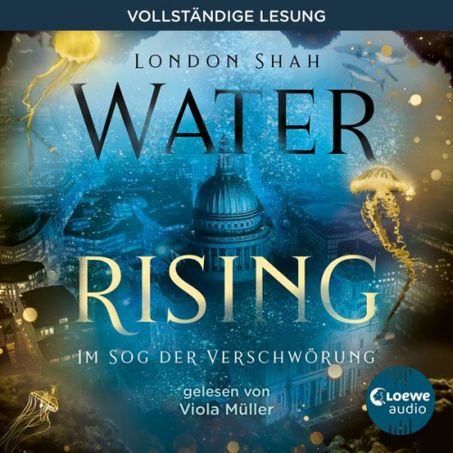 London Shah - Water Rising (Band 2) - Im Sog der Verschwörung