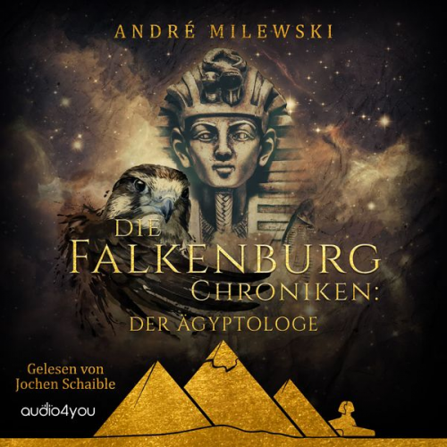 André Milewski - Die Falkenburg Chroniken