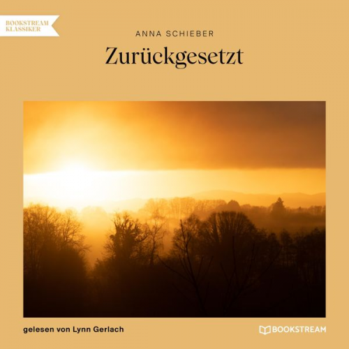 Anna Schieber - Zurückgesetzt