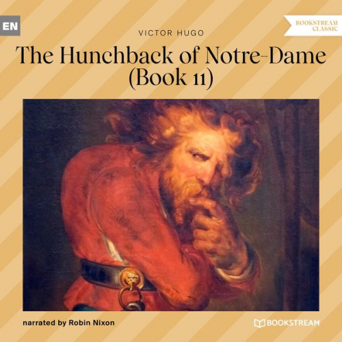 Victor Hugo - The Hunchback of Notre-Dame - Book 11