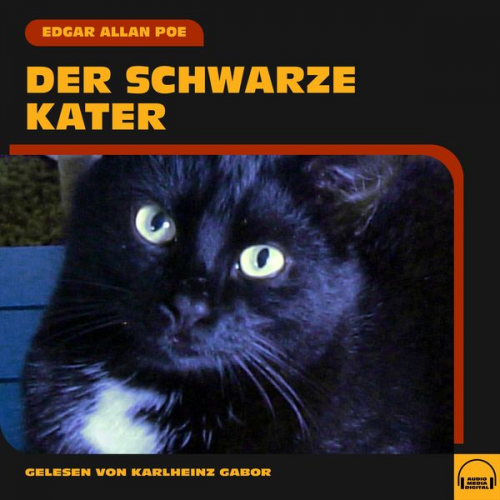 Edgar Allan Poe - Der schwarze Kater