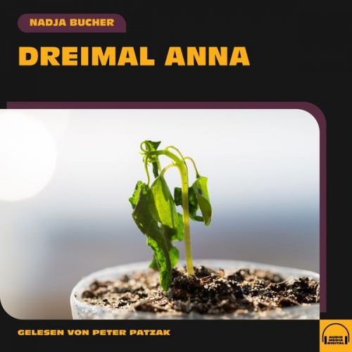 Nadja Bucher - Dreimal Anna