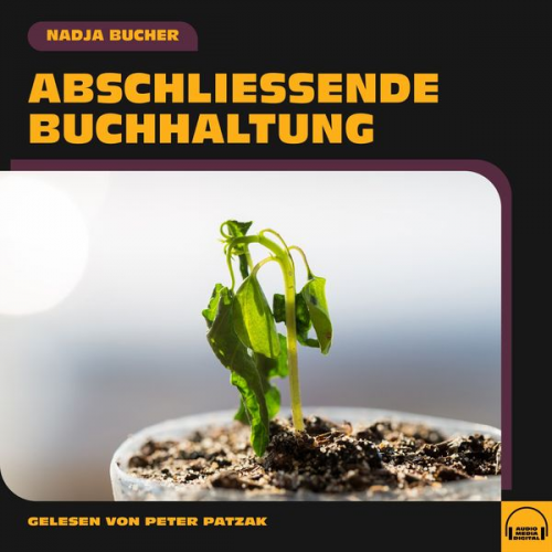 Nadja Bucher - Abschließende Buchhaltung