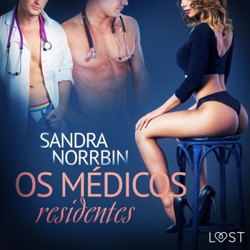 Sandra Norrbin - Os médicos residentes – Conto erótico