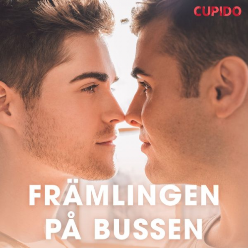 Cupido - Främlingen på bussen