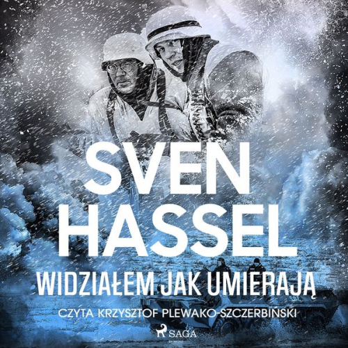 Sven Hassel - Widziałem jak umierają