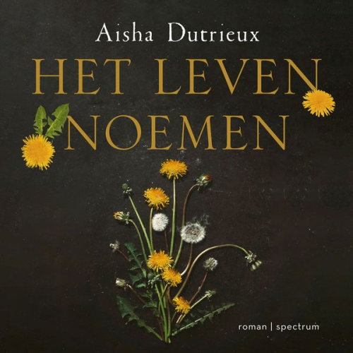 Aisha Dutrieux - Het leven noemen