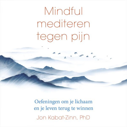 Jon Kabat Zinn - Mindful mediteren tegen pijn