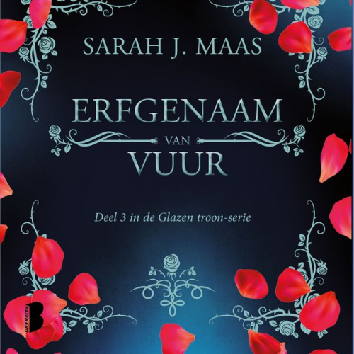 Sarah J. Maas - Erfgenaam van vuur