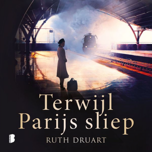 Ruth Druart - Terwijl Parijs sliep