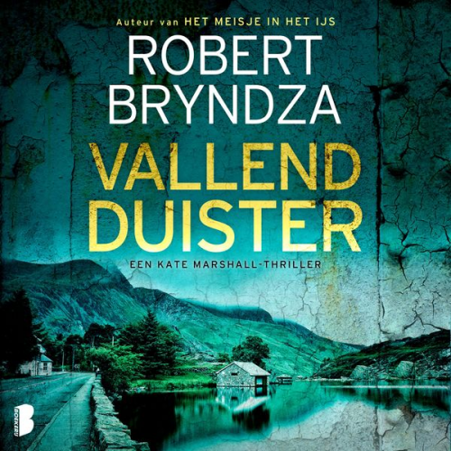 Robert Bryndza - Vallend duister