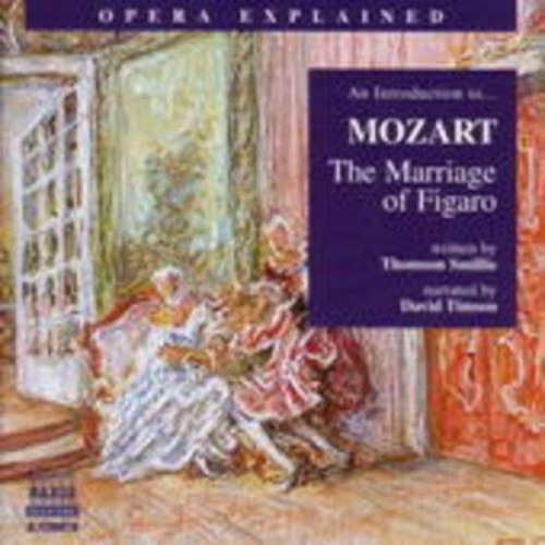 Introduction To Figaro's Hochzeit