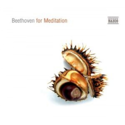 Ludwig van Beethoven - Beethoven For Meditation