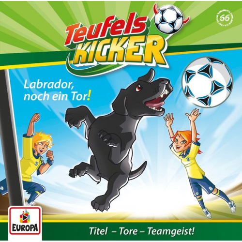 Labrador,noch ein Tor! / Teufelskicker Bd.66