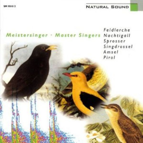 Walter Tilgner - Meistersinger