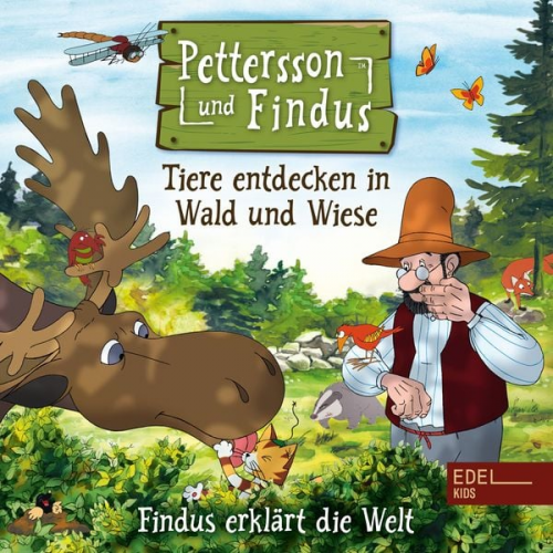 Angela Strunck - Findus erklärt die Welt: Tiere entdecken in Wald und Wiese (Das Original-Hörspiel zum Naturbuch)