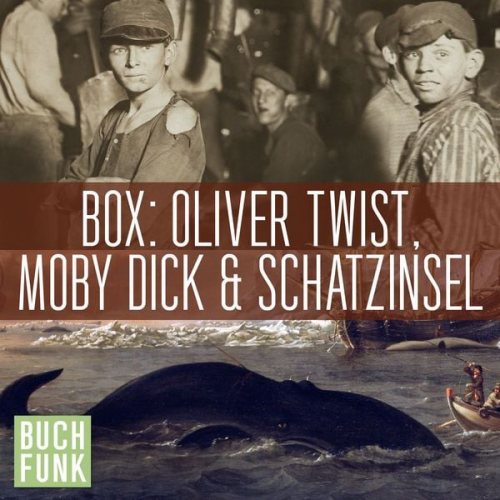 Herman Melville Robert Louis Stevenson Charles Dickens - Dreifaches Abenteuer: Oliver Twist, Schatzinsel, Moby Dick