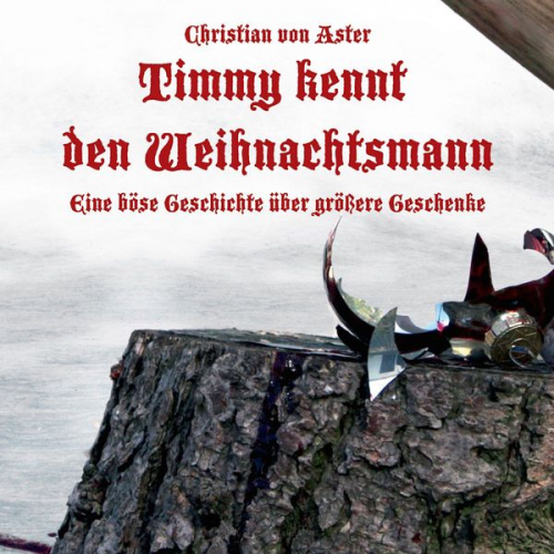 Christian Aster - Timmy kennt den Weihnachtsmann - Eine böse Geschichte über größere Geschenke