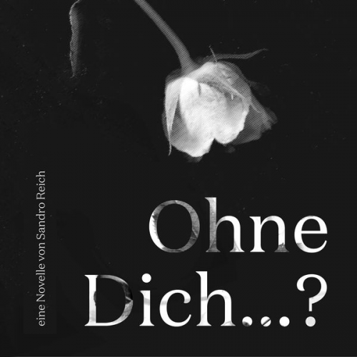 Sandro Reich - Ohne Dich...?