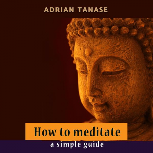 Adrian Tanase - How To Meditate