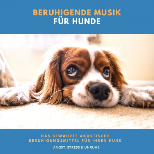 Neil Aniston - Beruhigende Musik für Hunde