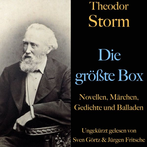 Theodor Storm - Theodor Storm: Die größte Box