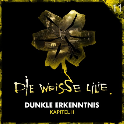 Benjamin Oechsle - 11: Dunkle Erkenntnis - Kapitel II