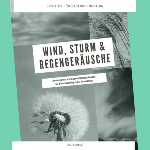 Institut für Stressabbau - Wind, Sturm & Regengeräusche: Beruhigende, wohltuende Naturgeräusche für Stressbewältigung & Stressabbau