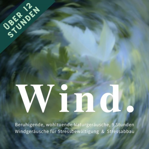 Privates Archiv für Naturgeräusche - Wind & Windgeräusche: Beruhigende, wohltuende Naturgeräusche für Stressreduktion, Stressvermeidung & Stressabbau