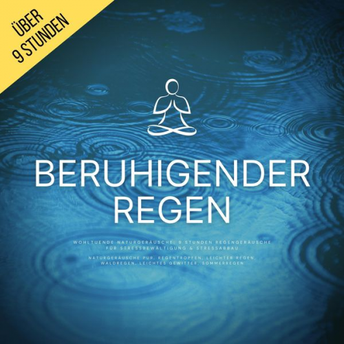 Regengeräusche zur Stressbewältigung - Beruhigender Regen (Naturgeräusche pur, Regentropfen, Leichter Regen, Waldregen, Leichtes Gewitter, Sommerregen)