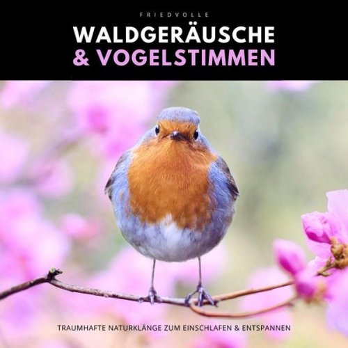 Naturklänge Manufaktur - Friedvolle Waldgeräusche & Vogelstimmen