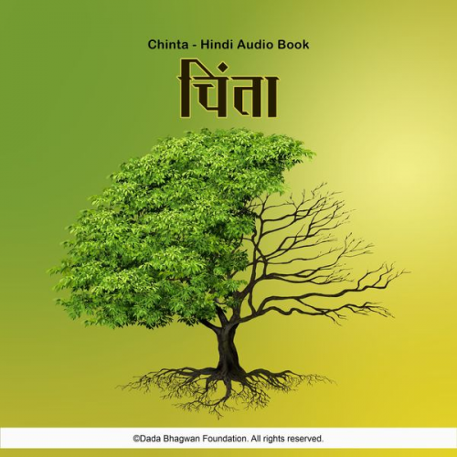 Dada Bhagwan - Chinta - Hindi Audio Book