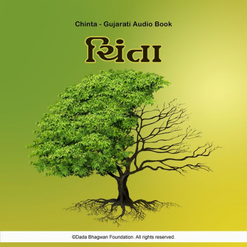 Dada Bhagwan - Chinta - Gujarati Audio Book