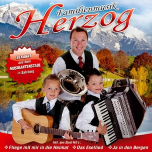 Familienmusik Herzog - Ja in den Bergen
