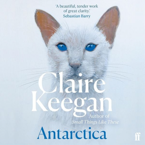 Claire Keegan - Antarctica