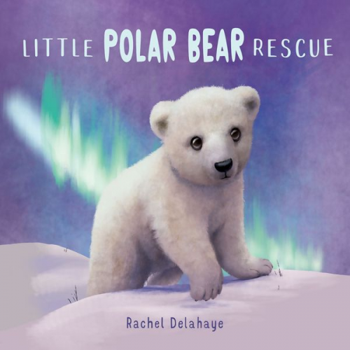 Rachel Delahaye - Little Polar Bear Rescue