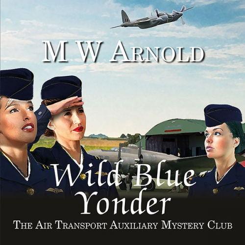 M.W. Arnold - Wild Blue Yonder