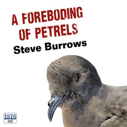 Steve Burrows - A Foreboding of Petrels