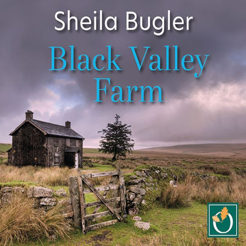 Sheila Bugler - Black Valley Farm