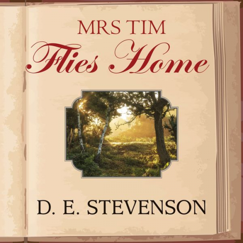 D.E. Stevenson - Mrs Tim Flies Home