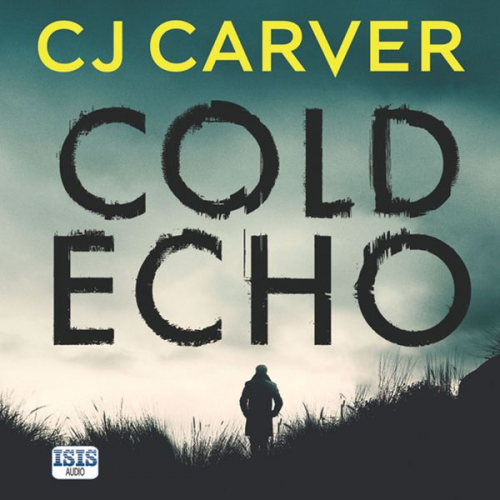 C.J. Carver - Cold Echo