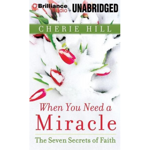 Cherie Hill - When You Need a Miracle