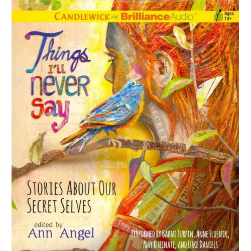 Ann Angel - Things I'll Never Say: Stories about Our Secret Selves