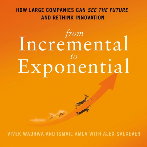 Vivek Wadhwa Ismail Amla Alex Salkever - From Incremental to Exponential